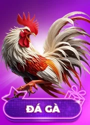 QH88 🎖️ Trải Nghiệm 100k Tại Nhà Cái QH88 Chính Thức Tặng 313 da ga qh88