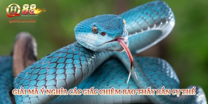 Mơ Thấy Rắn - Bật Mí Loạt Bộ Số Tài Lộc Giúp Trúng Đậm 3 Giải mã ý nghĩa các giấc chiêm bao thấy rắn cụ thể